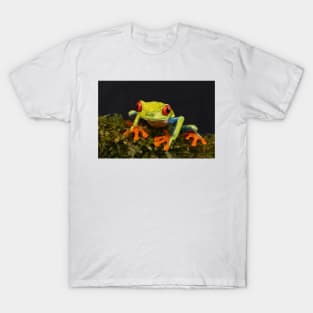 Red-eyed Tree Frog - Costa Rica T-Shirt